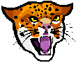 wildcat.gif